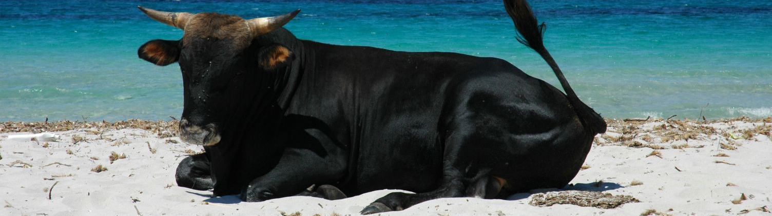 Copyright: der Heiko / pixelio.de