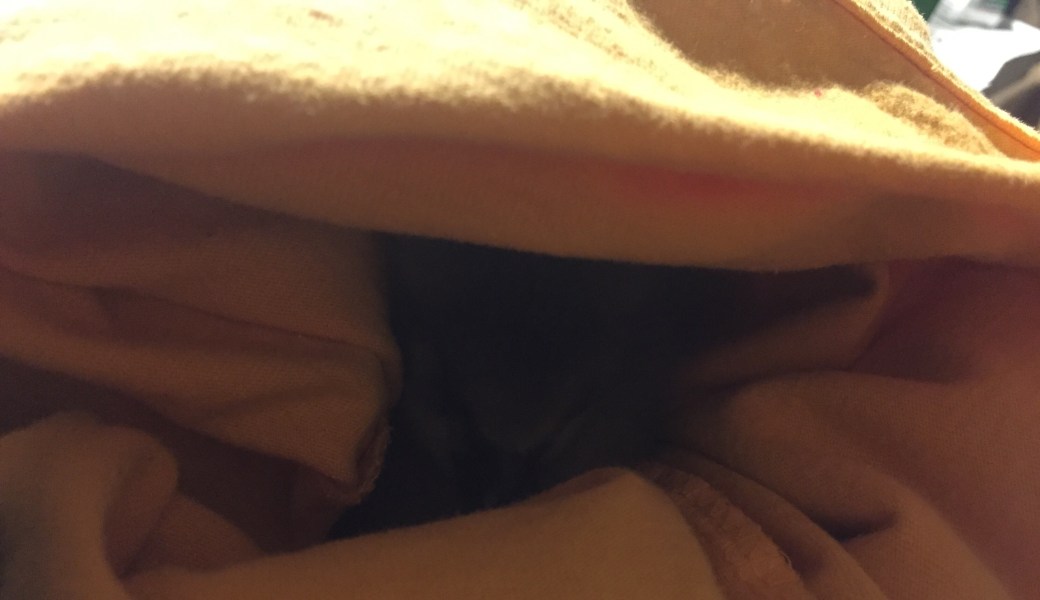 Das Gänseküken ist völlig erschöpft